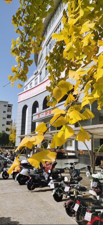 437ccm必赢国际首页欢迎您